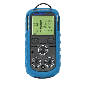 [TELEDYNE.PS200-64024] Teledyne PS200 64024 2-Gas (O2 / H2S) Non-Pumped (Standard Filter on LEL Sensor)
